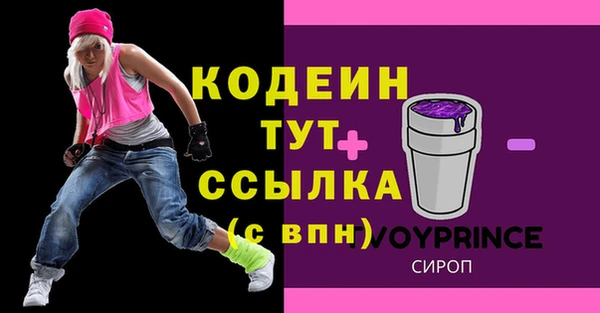 крисы Шарыпово