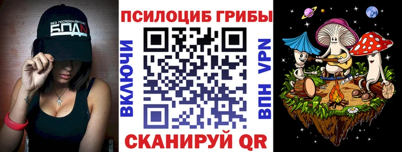 Купить где  Бирск  Галлюциногенные грибы мицелий 